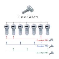 ORGANIGRAMME PG-PP